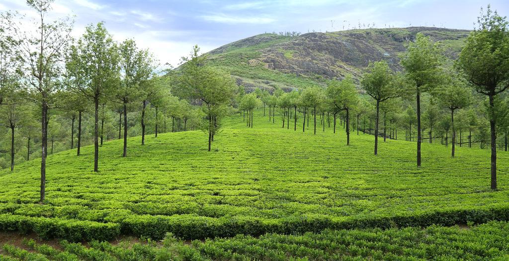 Hotel Elysium Garden Munnar Exterior foto