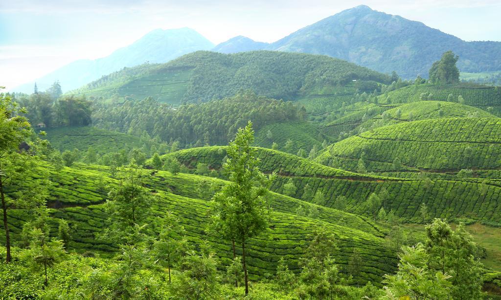 Hotel Elysium Garden Munnar Exterior foto